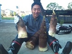 2011 0429 タケノコ.jpg