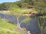 2011 0429 中津川.jpg