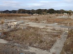 2014 いわき3.jpg